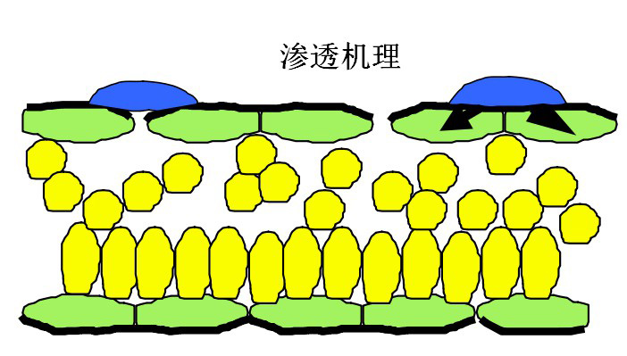 有機硅助劑在農(nóng)業(yè)中的應(yīng)用